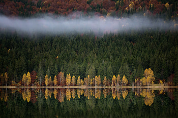 Autumn River, Fog, Autumn, River, Trees, Forest HD wallpaper