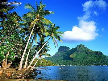 Tropical Landscape, landscape, nature, tropical, beach HD wallpaper