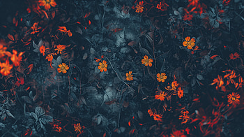 Dark Floral Elegance, aesthetic, black aesthetic, dark aesthetic, flower HD wallpaper