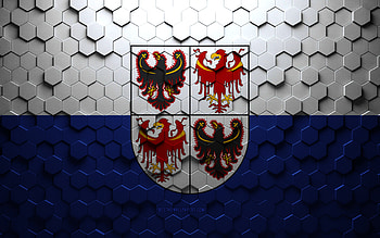 Flag of Trentino-South Tyrol, honeycomb art, Trentino-South Tyrol hexagons flag, Trentino-South Tyrol, 3d hexagons art, Trentino-South Tyrol flag HD wallpaper