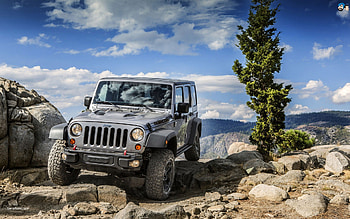 Jeep Wrangler, wrangler, stone, jeep, tree HD wallpaper