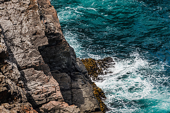 Nature, Sea, Rocks, Foam, Surf, Algae, Seaweed HD wallpaper