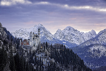 Nature, Germany, Bavaria, Neuschwanstein Castle HD wallpaper