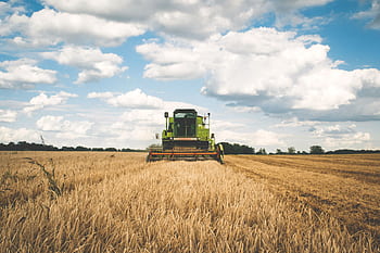 A green tractor harvesting wheat in a vast open field under a bright, cloudy sky. HD wallpaper