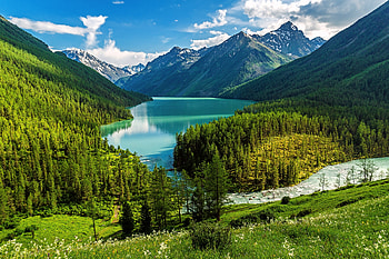 The Kucherla lake, Russia, nature, lake HD wallpaper