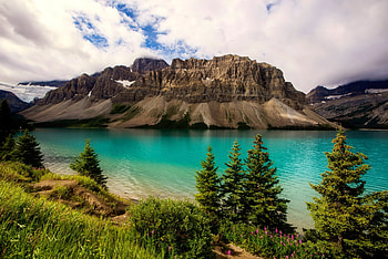 Bow lake, serenity, shore, reflection, trees, vliffs, bow, tranquility, landscape, beautiful, grass, rocks, lake, mountain, summer, emerald, clouds, sky, flowers, calmness HD wallpaper