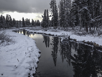 Nature, Usa, United States, Yellowstone National Park, Wyoming HD wallpaper