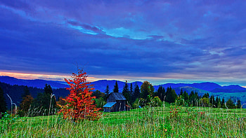 Autumn at Romania, sky, hills, landscape, trees, autumn, clouds HD wallpaper