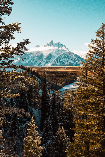 Landscape, Nature, Trees, Mountains, Vertex, Top, Branches HD phone wallpaper