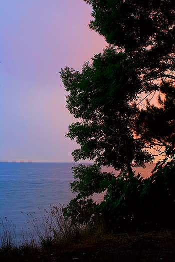 Landscape, Nature, Water, Trees, Horizon, Shore, Bank HD phone wallpaper