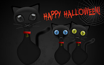 *** Happy Halloween ***, night, halloween, cats, scary HD wallpaper