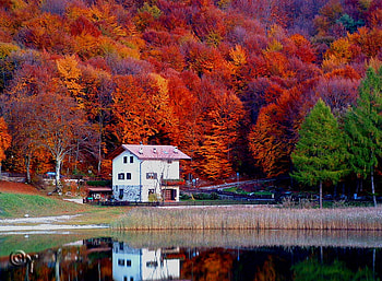 Autumn-house, reflection, house, trees, autumn, nature, lake HD wallpaper