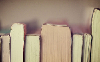Book , Literary escape, Imaginative worlds, Reading essentials HD wallpaper