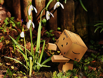 Miscellanea, Miscellaneous, Shadow, Cardboard Robot, Danboard HD wallpaper