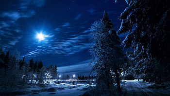 Moonshine at Swedish Lapland, snow, night, winter, moon, light, trees, village HD wallpaper
