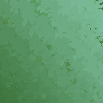 Hojas, Naturaleza, Verde HD phone wallpaper