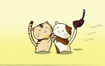 .wiki--of-Anime-Cat--PIC- HD wallpaper