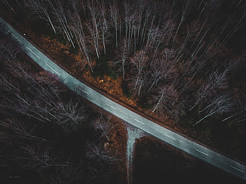 Nature, Trees, Autumn, View From Above, Road, Forest, Branches HD wallpaper