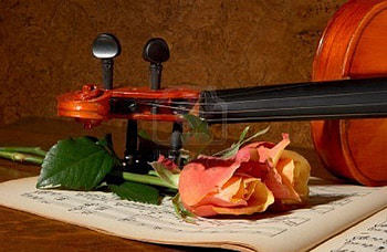vintage still life, music book, still life, roses, violin, vintage HD wallpaper