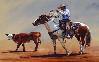 The Round Them Up, Man, Cows, Ground, Horse, Lasso HD wallpaper