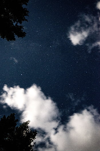 Gazing up at a starry night sky framed by clouds and treetops, evoking wonder. HD phone wallpaper