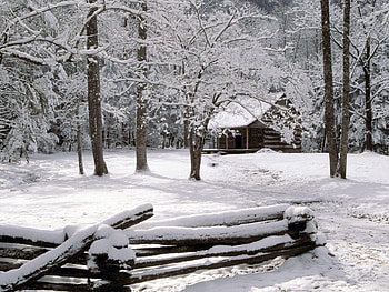 Winter, Nature, Trees, Forest, Small House, Lodge, Fence, Frost, Hoarfrost, Logs, Tennessee HD wallpaper