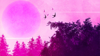 Pink Birds Forest Landscape , pink, forest, artist, artwork, digital-art, deviantart HD wallpaper