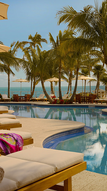Turks and Caicos, Travels, Cheeca Lodge & Spa, Top-rated hotel HD phone wallpaper