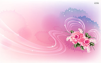 Pink Roses & Lucent Ribbon | Pink Roses & Lucent Ribbon . HD wallpaper