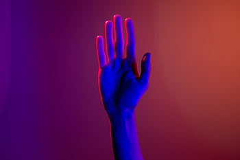 A single hand under neon lighting creating a colorful visual effect. HD wallpaper