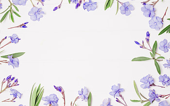 :-), blue, white, leandru, flower, frame, green, card, leaf HD wallpaper
