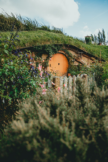 Flowers, Miscellanea, Miscellaneous, Small House, Lodge, Hill, Cave, Door HD phone wallpaper