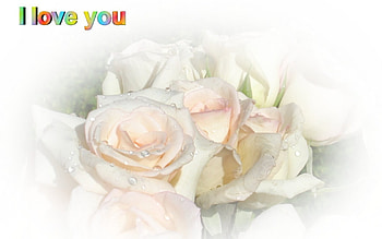 Roses of Love, roses, art, love, i love you HD wallpaper