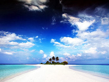 Nature, Water, Beach, Sand, Palms, Land, Island, Bay HD wallpaper