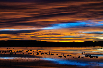 New Mexico at dawn, HQ , mobile tablet, Computer HD wallpaper