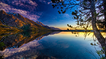 Lake Reflection, reflection, trees, sky, nature, forest, lake HD wallpaper