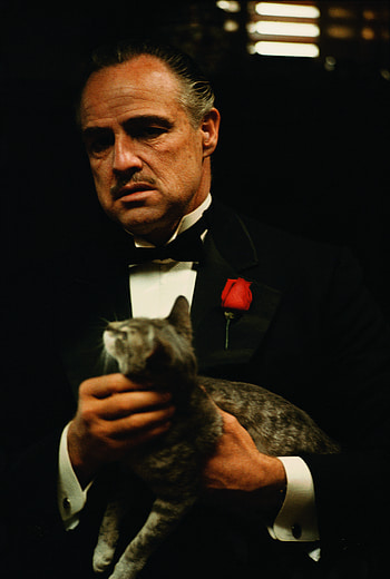 Rare From Behind The Scenes Of 'The Godfather'. Godfather movie, Marlon brando the godfather, The godfather HD phone wallpaper