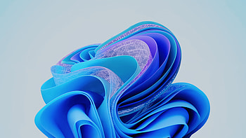 Windows 11 Bloom - Microsoft Build 2023, Microsoft, technology, Windows 11 HD wallpaper