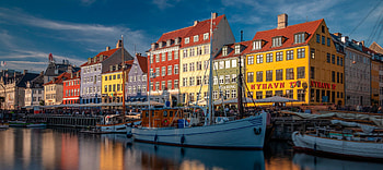 Pest control in Copenhagen, Maintaining cleanliness, Urban hygiene, Addressing concerns HD wallpaper