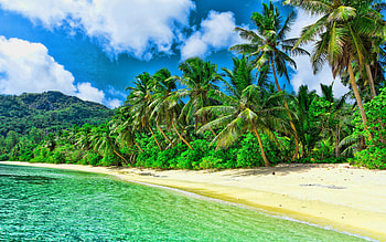 Caribbean Islands, Caribbean islands , Palm tree paradise, Beautiful nature HD wallpaper