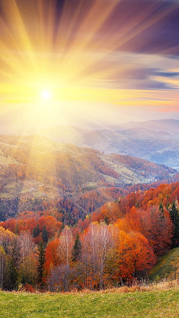 Highland, Lens Flare HD phone wallpaper