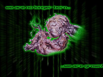Born or Not , baby, born, weird HD wallpaper