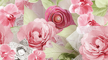 Summer Sensation, netting, design, roses, feminine, paper, spring, summer, pink, leaves, flowers HD wallpaper
