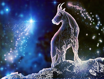 Zodiac ~ Capricorn, capricorn, zodiac, fantasy, stars, goat HD wallpaper