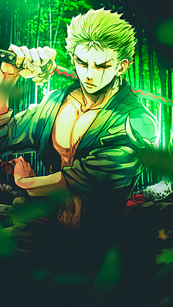 Roronoa Zoro, one Piece, fanart, luffy, sanji, anime HD phone wallpaper
