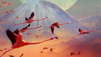Flamingos, flamingos, birds, artist, minimalism, artwork, digital-art, artstation HD wallpaper