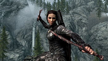Female Elf Warriors | Papel de Parede de The Elder Scrolls V: Skyrim, mostrando HD wallpaper