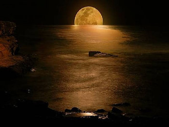 best full moon, best, full, moon HD wallpaper