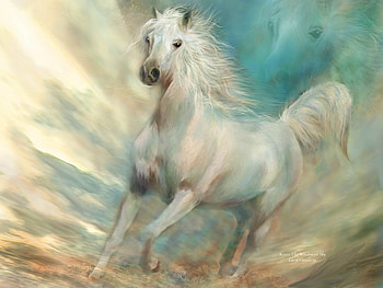 Across the windswept sky, art, running, white, horse, carol cavalaris, cal HD wallpaper