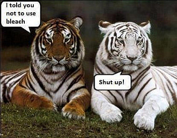 DO NOT BLEACH, ANIMALS, WHITE, BROWN, TIGER HD wallpaper